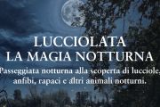 Fai Novara, "lucciolata" in collaborazione con Burchvif